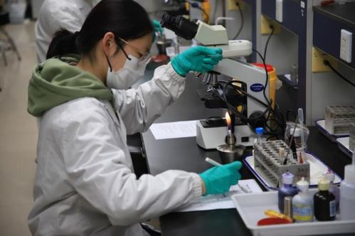 第九屆達承杯醫(yī)學(xué)檢驗技術(shù)專業(yè)本科生技能大賽圓滿落幕，技術(shù)研發(fā)成果顯著